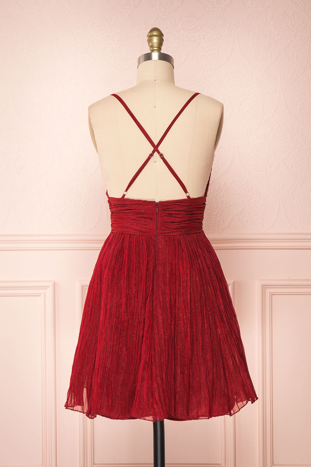 Lucetta Burgundy Pleated Short A-Line Party Dress | BACK VIEW | Boutique 1861