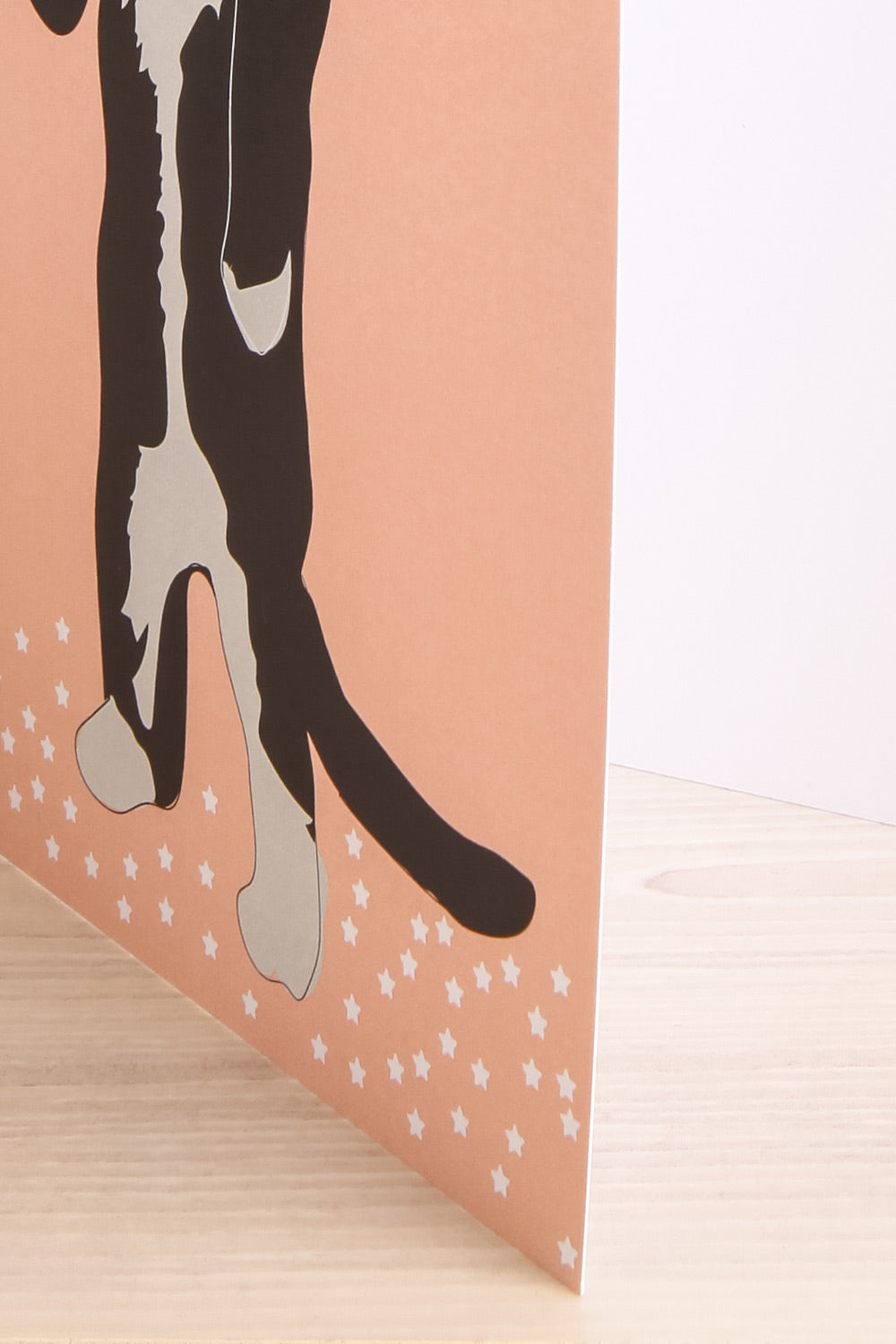 Maxi Carte Party Cat Card | La Petite Garçonne Chpt. 2 4