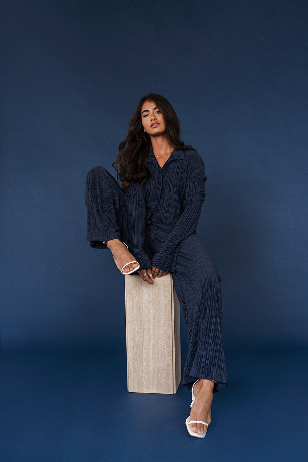 Memo Navy Wide Leg Pleated Pants | La petite garçonne on model