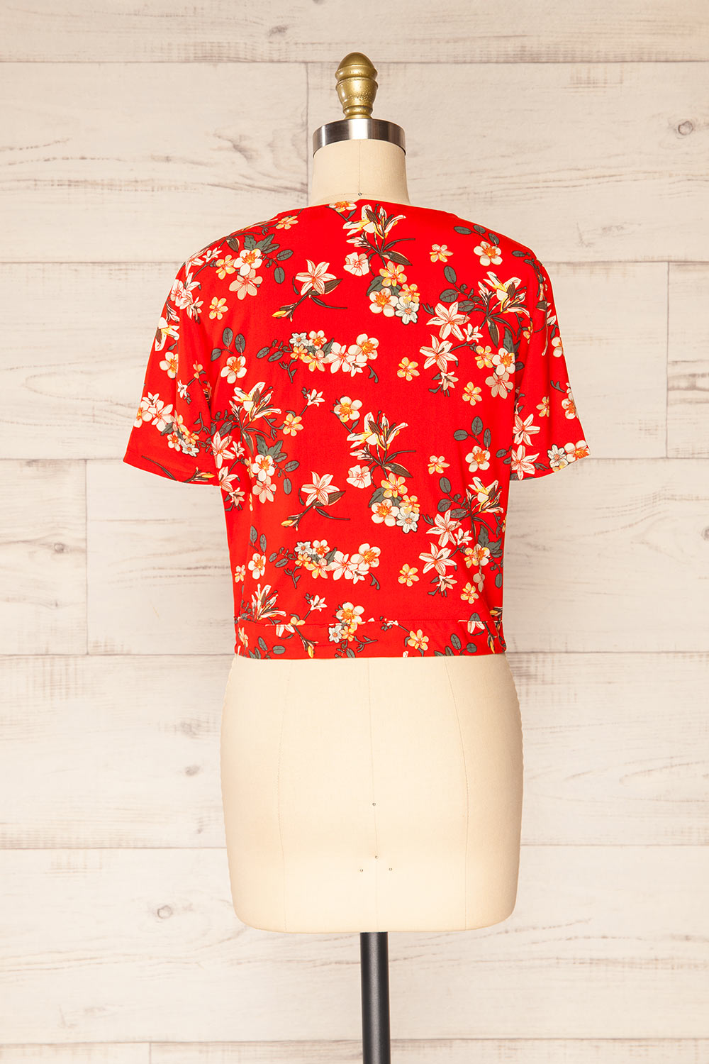 Mykonos Red Floral Knotted Crop Top | La petite garçonne back view