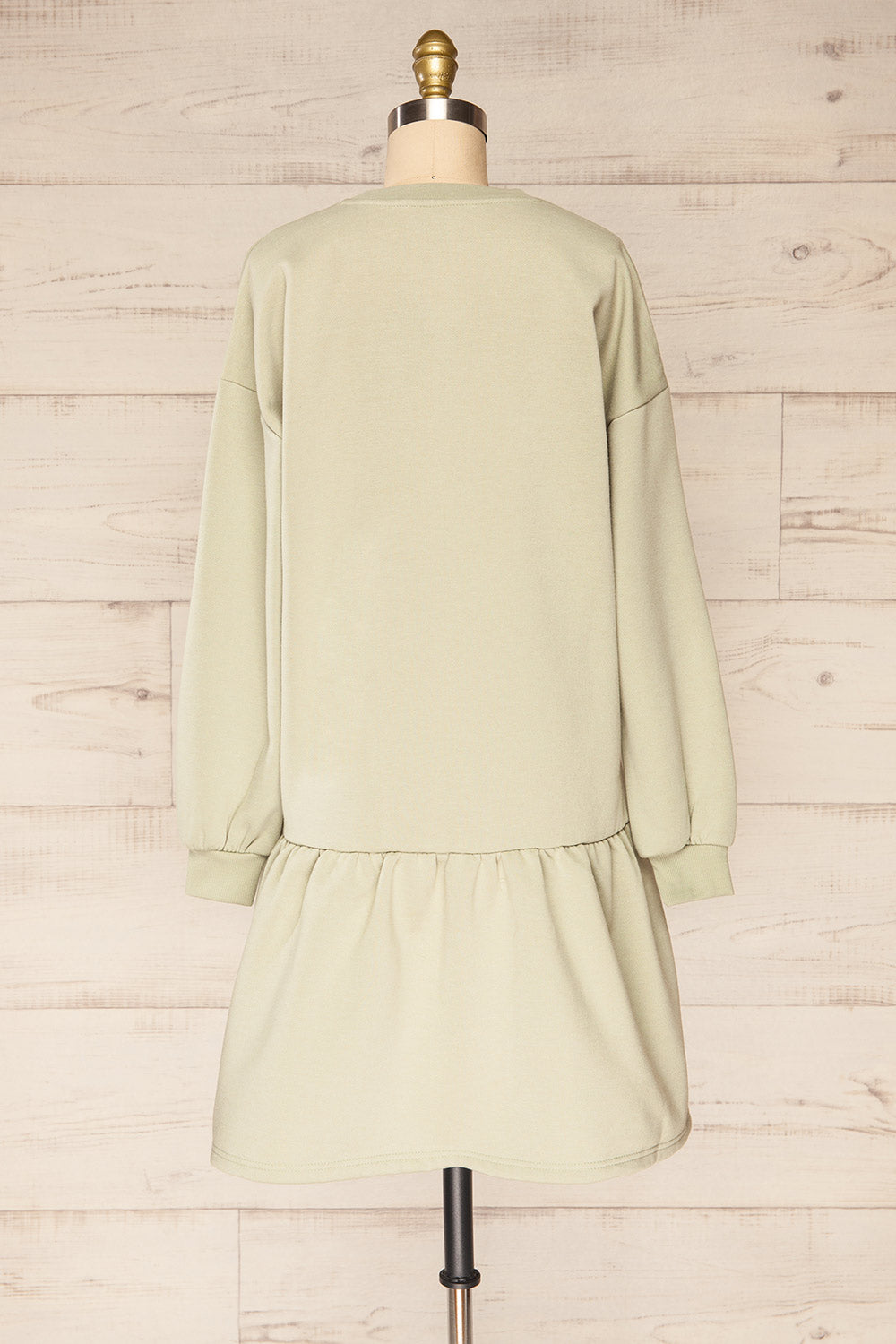 Orhei Sage Oversized Sweatshirt Dress | La petite garçonne back view
