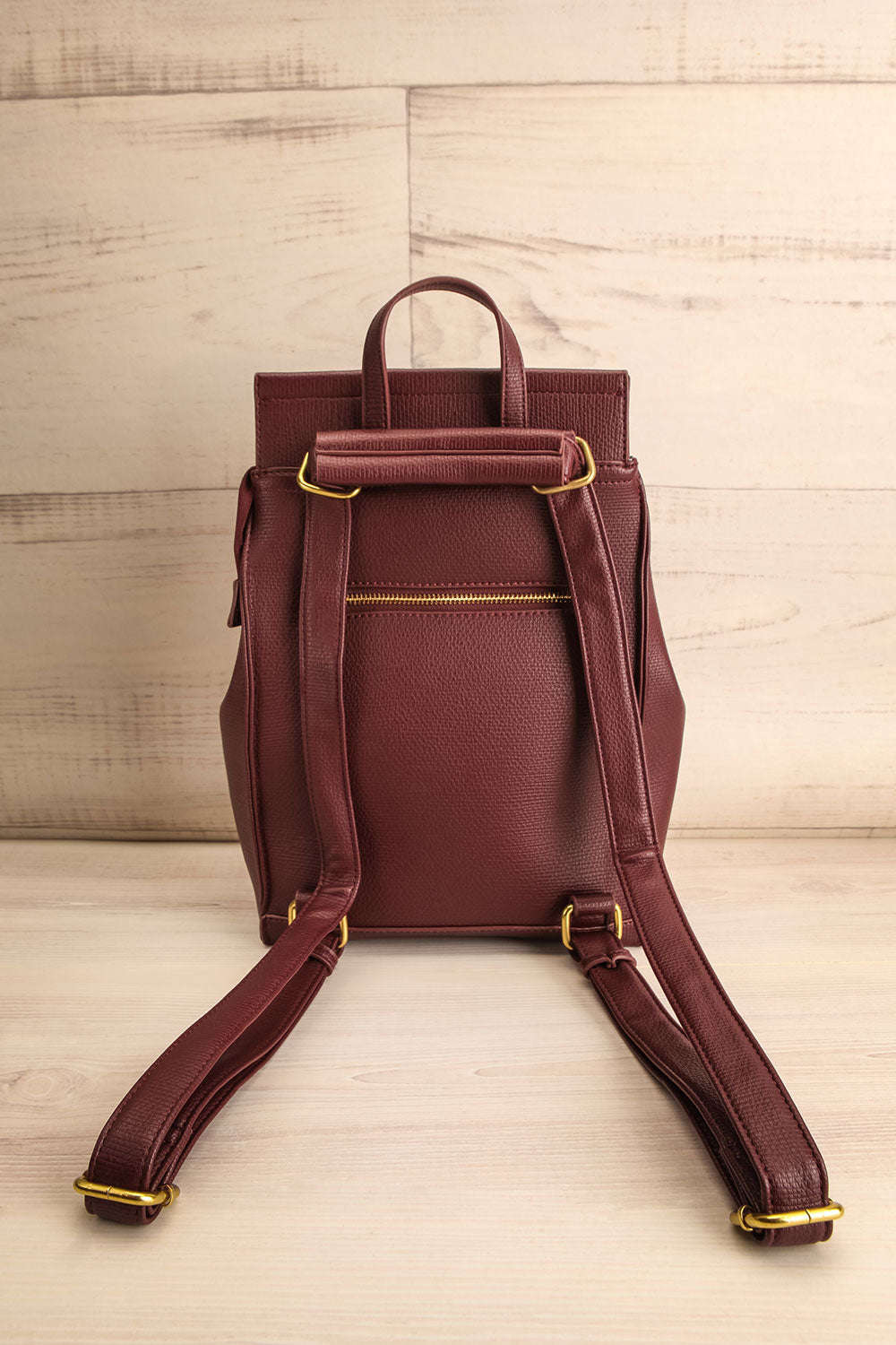 Ophiuchus Small Vegan Leather Backpack | La petite garçonne back view