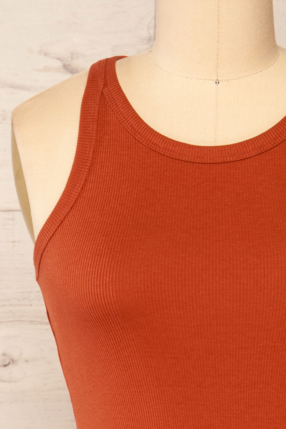 Orzesze Rust Ribbed Halter Neck Fitted Dress | La petite garçonne front close-up