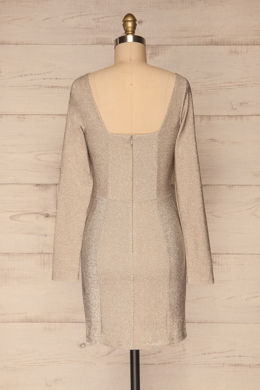 Pehtchevo Silver Long Sleeve Short Dress | La petite garçonne back view