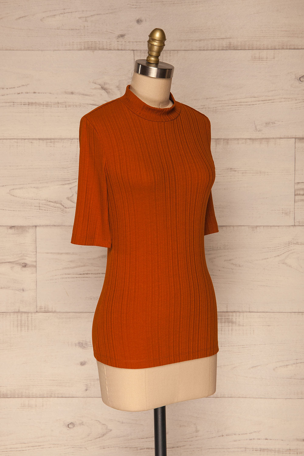 Pieszyce Rust Orange Mock Neck Top side view | La petite garçonne