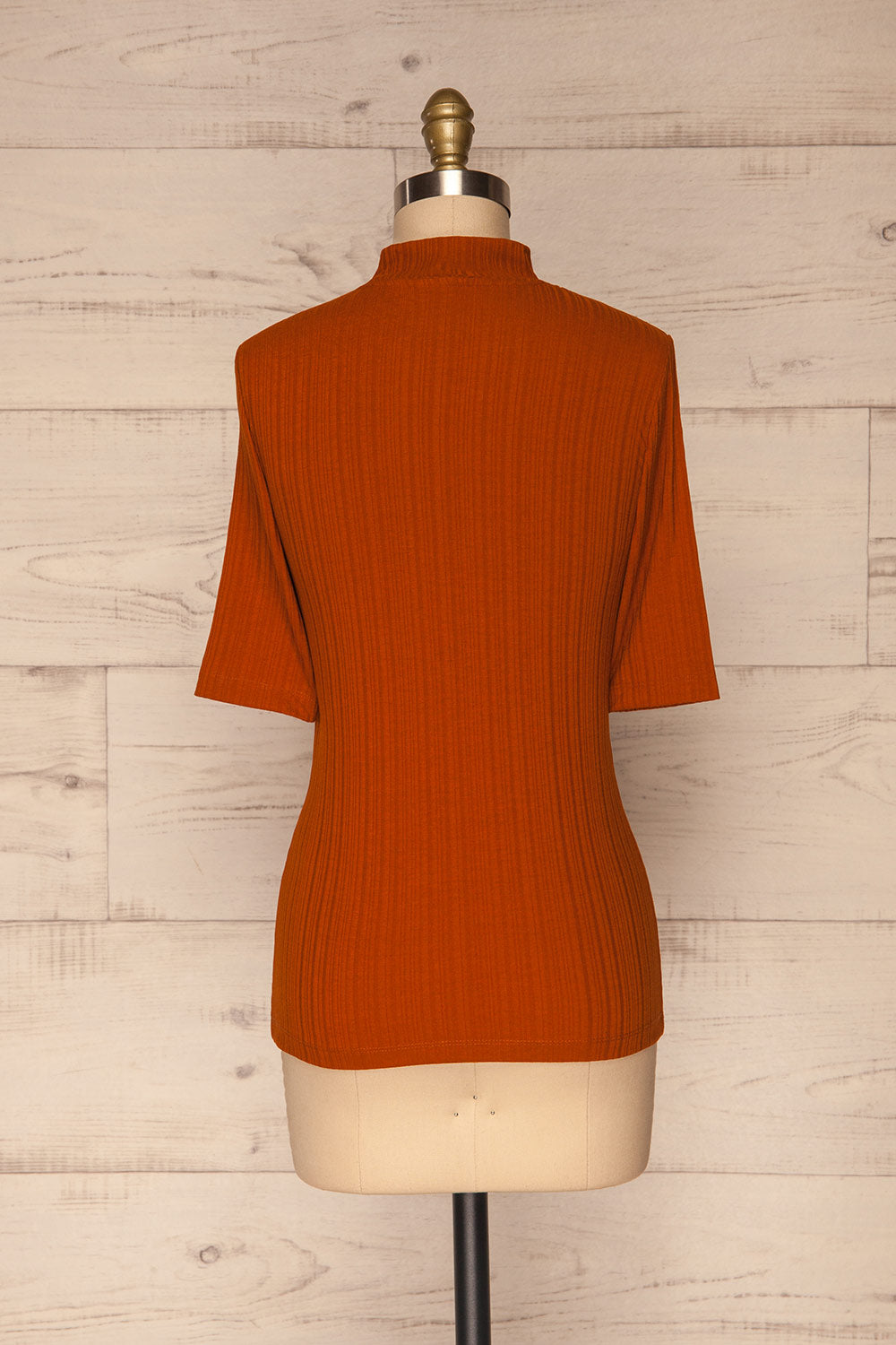 Pieszyce Rust Orange Mock Neck Top back view | La petite garçonne