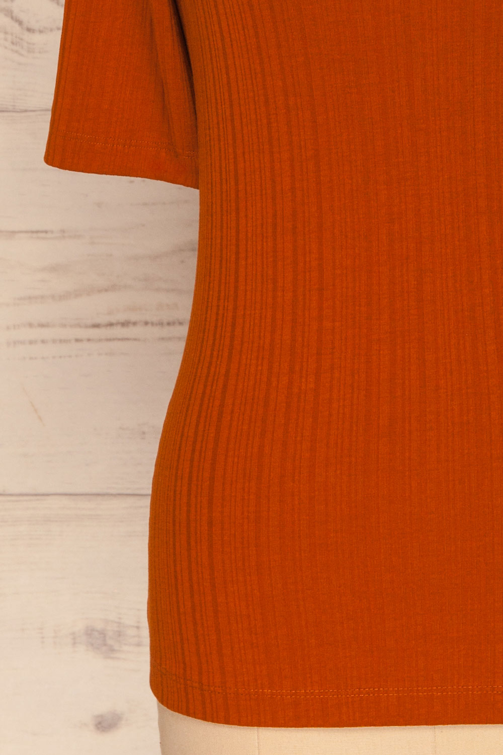 Pieszyce Rust Orange Mock Neck Top sleeve | La petite garçonne