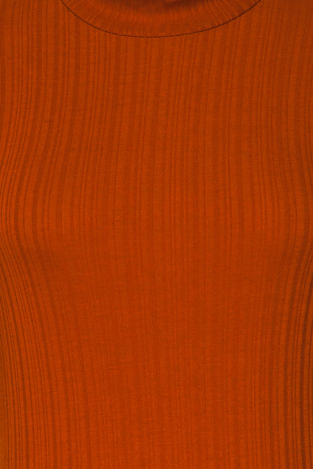 Pieszyce Rust Orange Mock Neck Top fabric | La petite garçonne