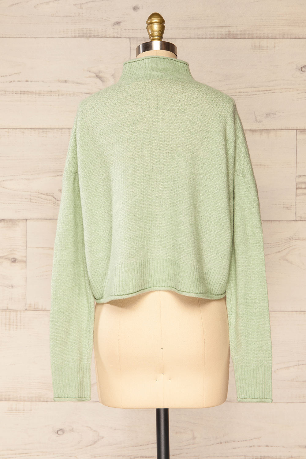 Pori Mint Soft Knit Mock Neck Sweater | La petite garçonne back view