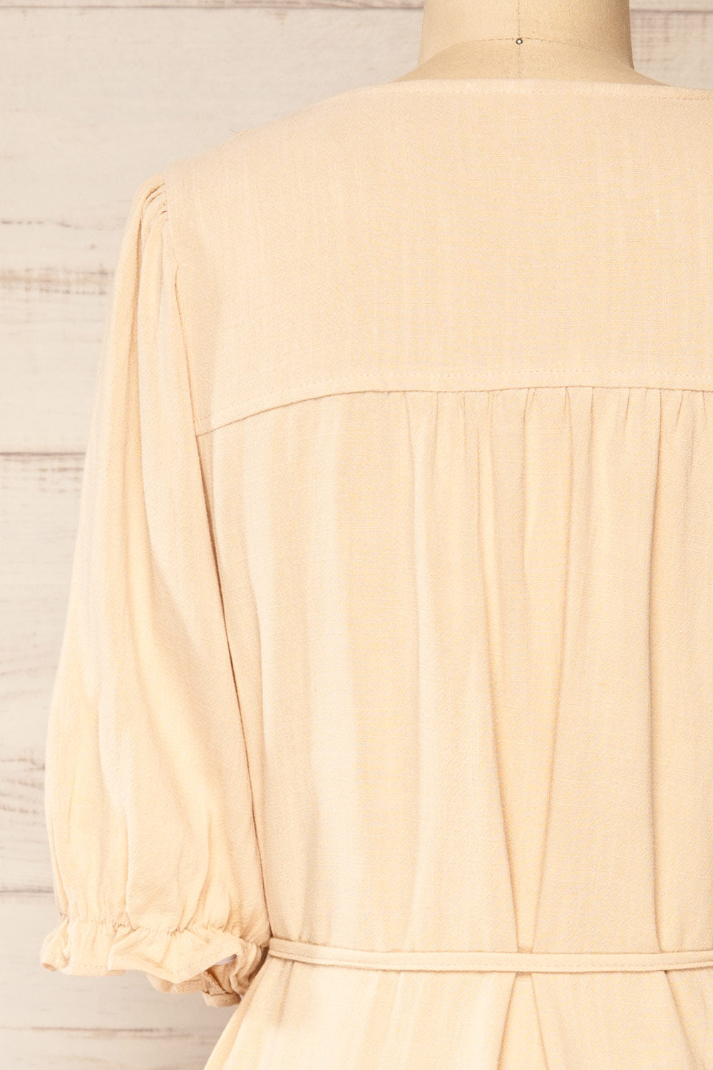 Rajgrod Faux Linen Midi Collared Dress | La petite garçonne back view