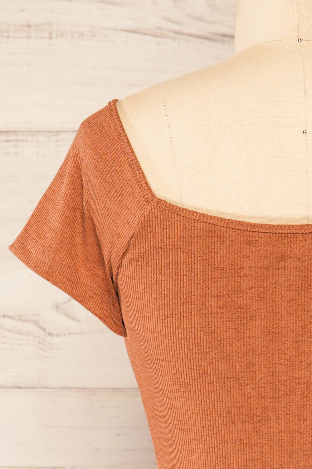 Rawa Clay Short Sleeve Fitted Ribbed Dress | La petite garçonne back view