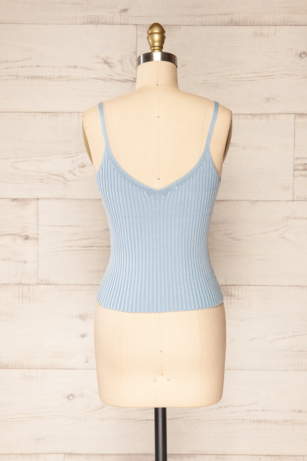 Rhudn Blue Floral Embroidered Crop Cami Top | La petite garçonne back view