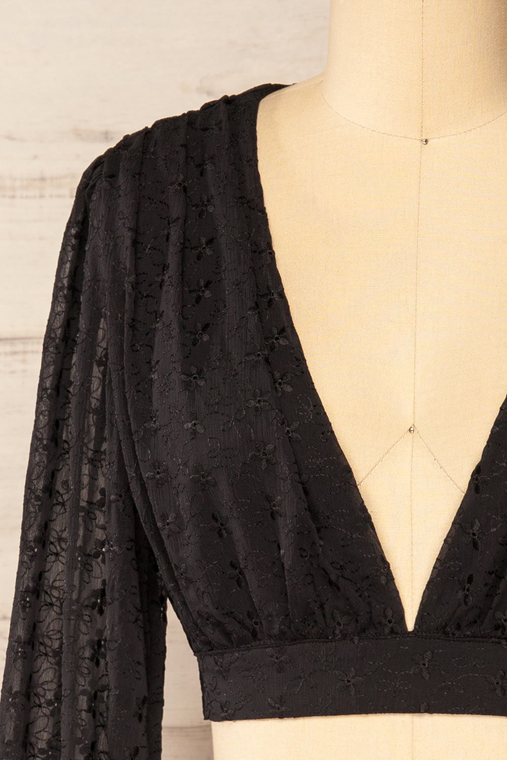 Rioja Cropped Chiffon Top w/ Floral Embroidery | La petite garçonne front close-up