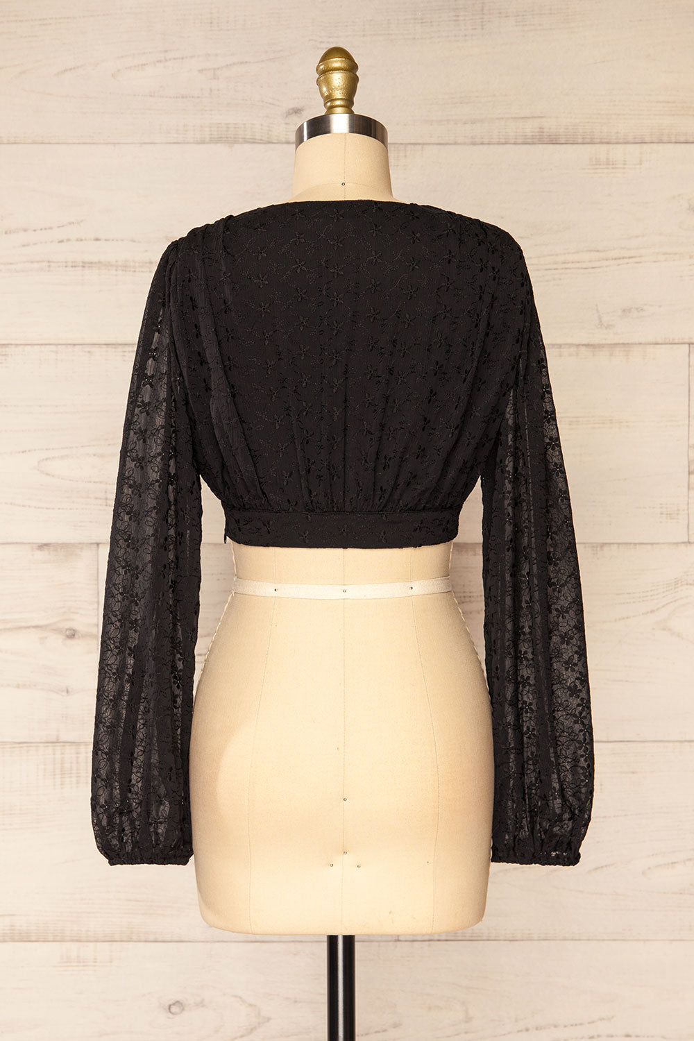 Rioja Cropped Chiffon Top w/ Floral Embroidery | La petite garçonne back view