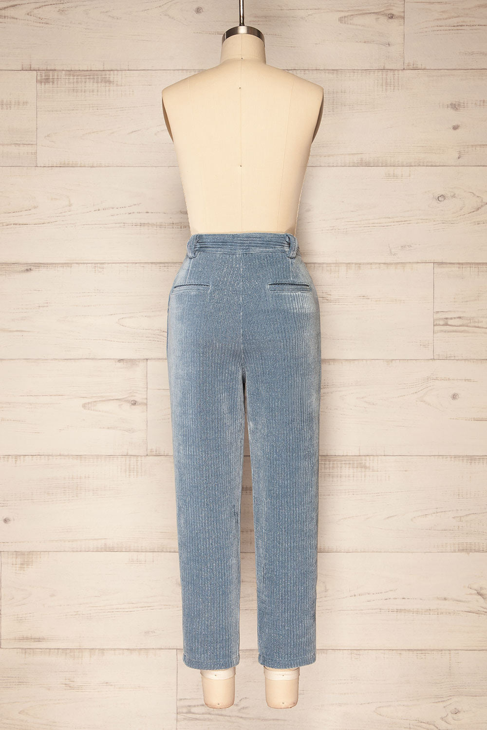 Sant-boi Blue Shimmery Corduroy Pants | La petite garçonne back view