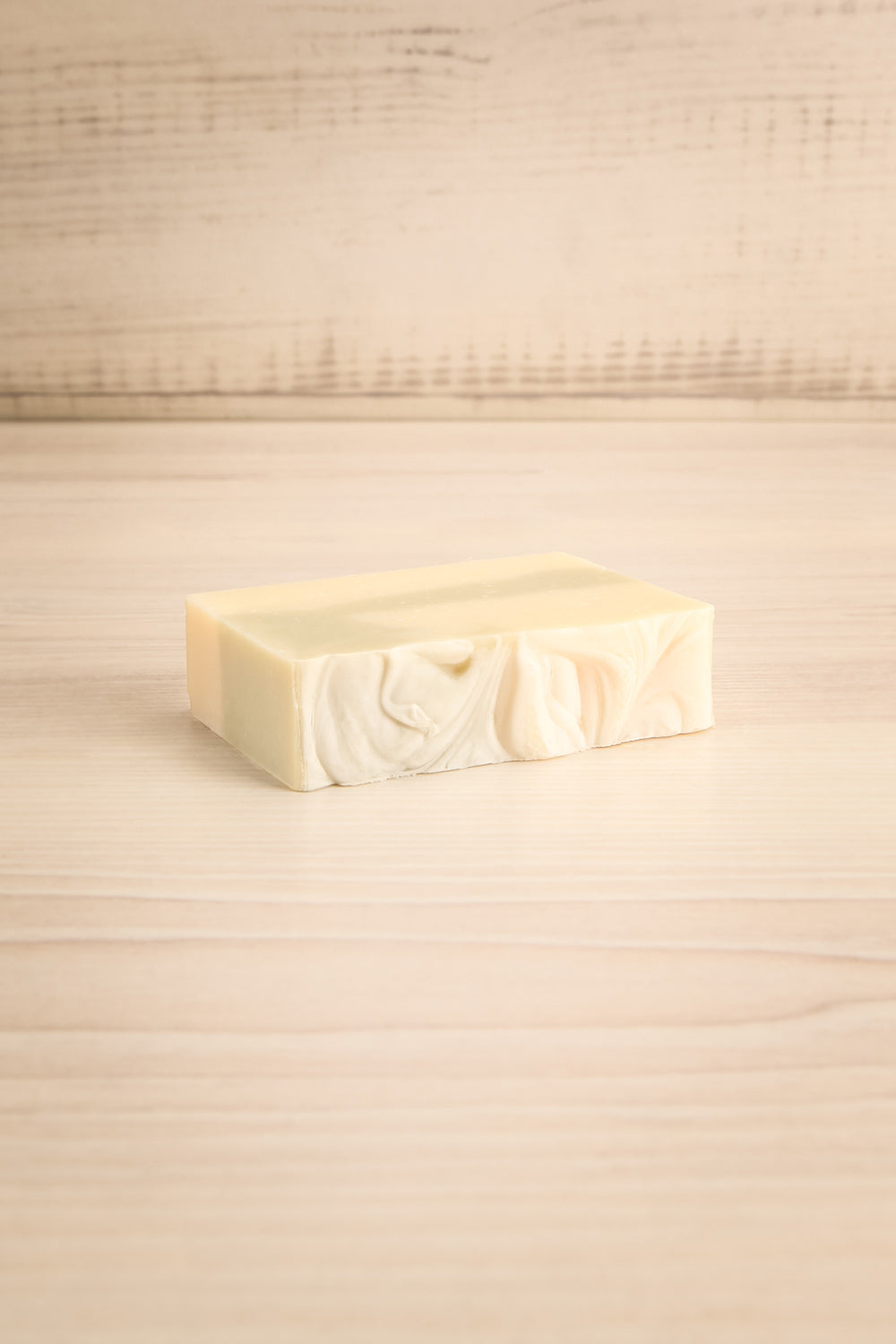 Savon Eucalyptus Frais Perfumed Soap | La Petite Garçonne flat view