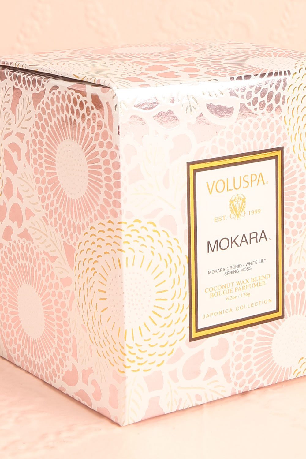 Scalloped Candle Mokara | La Petite Garçonne Chpt. 2 6