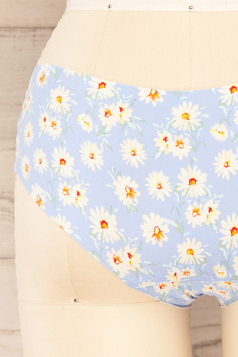 Set Hydra Pack of 3 Seamless Undies | La petite garçonne blue back close-up