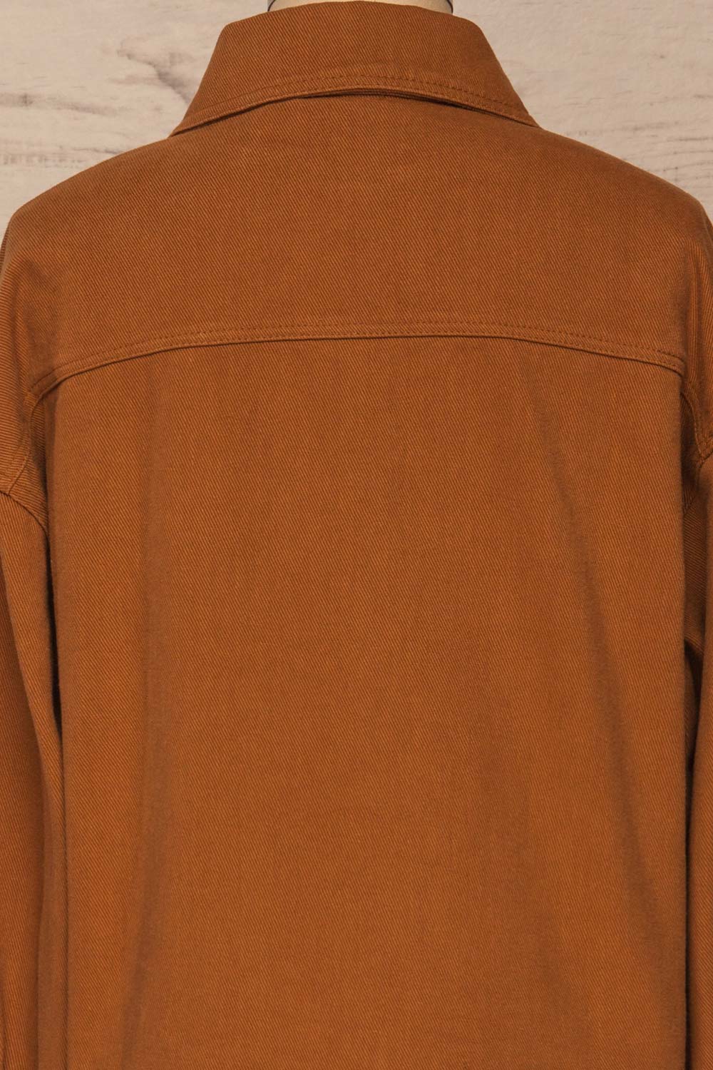 Ternopil Brown Trucker Jacket | Veste | La Petite Garçonne back close-up