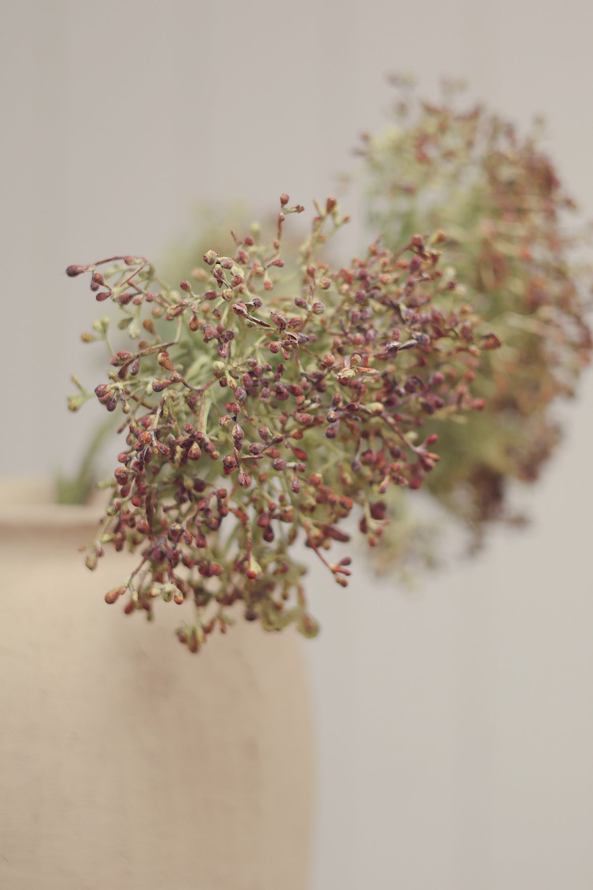 Close-up of artificial viburnum berry stem, pink flower stem with a round cluster of small brown and muted green blossoms, in a vase against a neutral background at la maison garçonne in montreal.