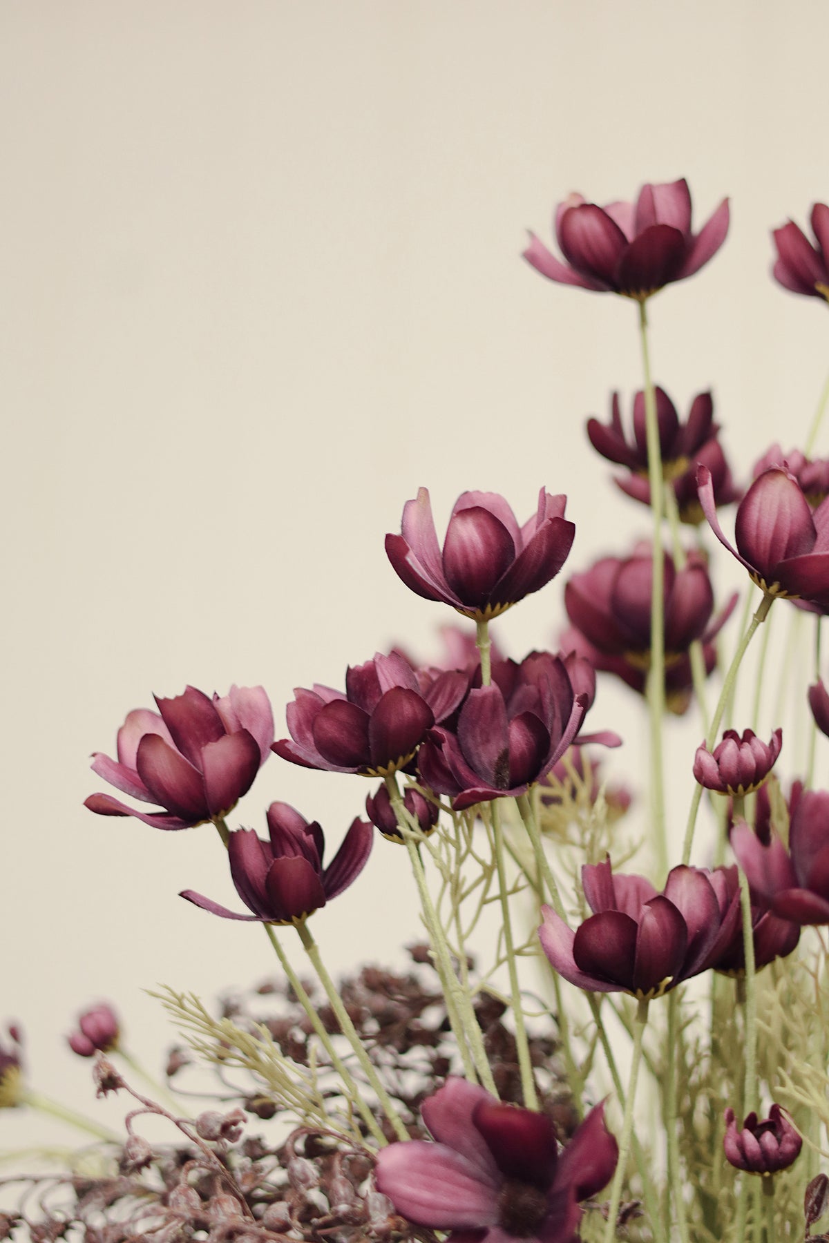 Close-up of A bouquet of artificial deep purple calliopsis spray flowers with long green stems and feathery foliage, on a blur background at la maison garçonne in montreal.