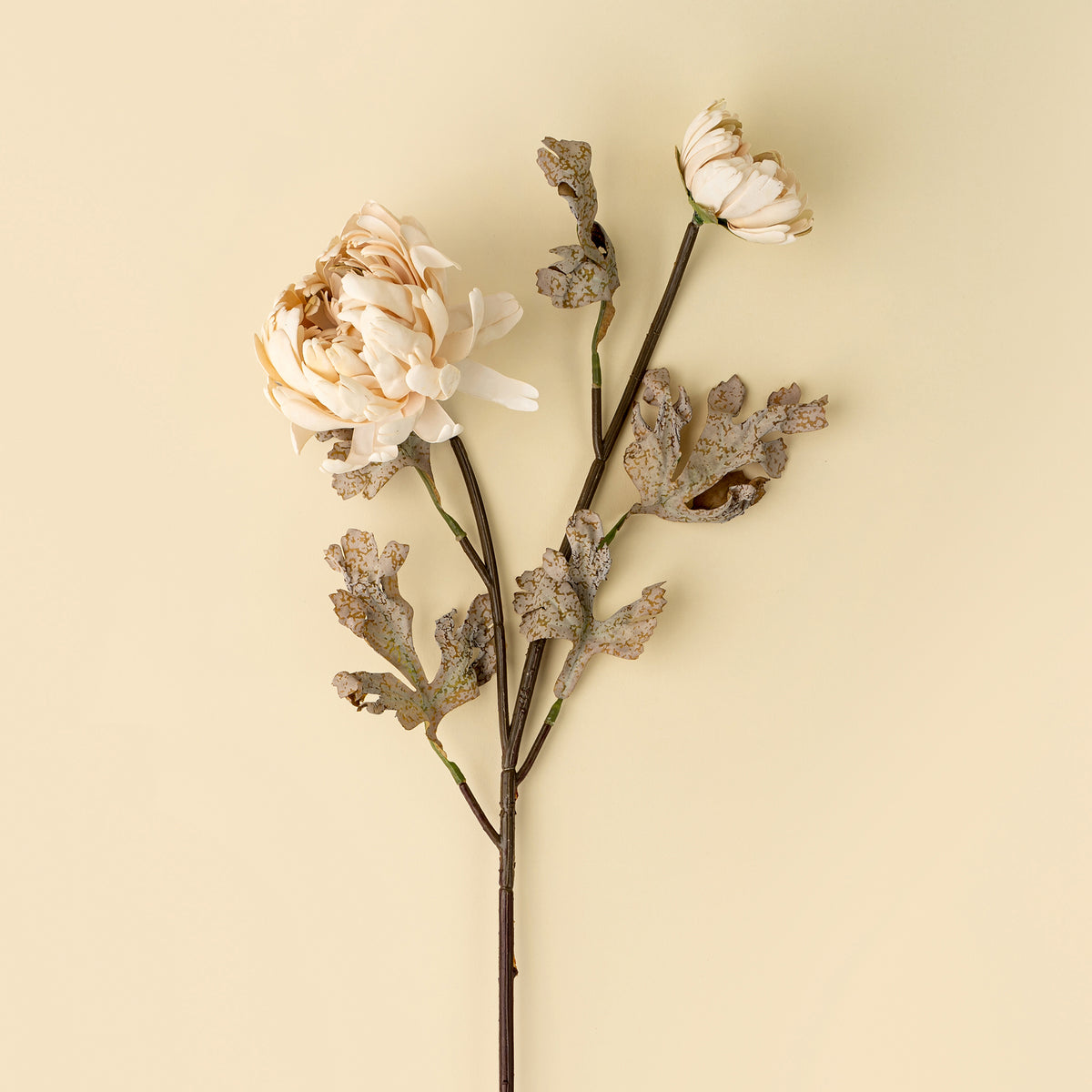 close-up on a Dahlia spray artificial cream colour flower stems with beige blooms and brown leaves on a beige surface at la maison garçonne in montreal.