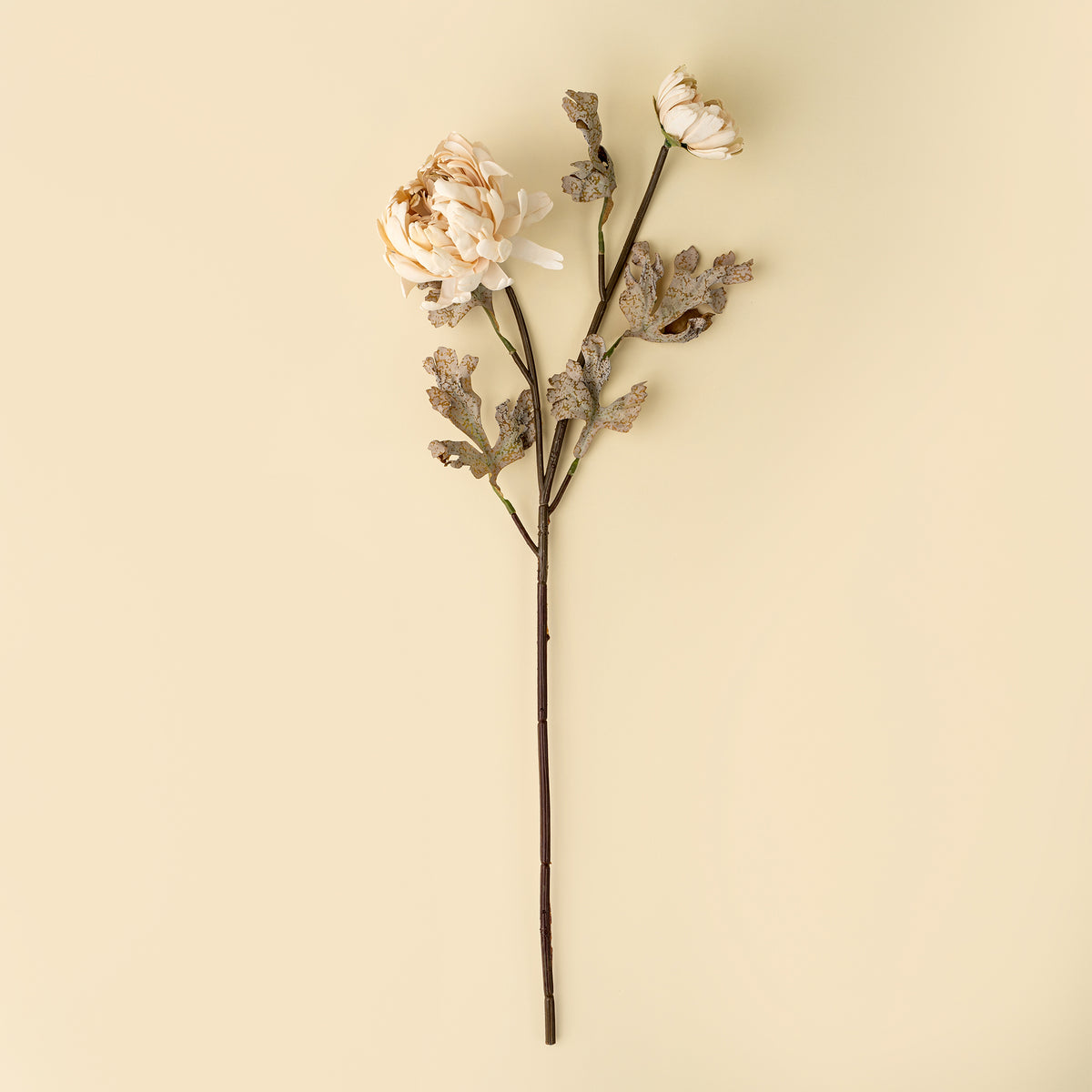 Dahlia spray artificial cream colour flower stems with beige blooms and brown leaves on a beige surface at la maison garçonne in montreal.