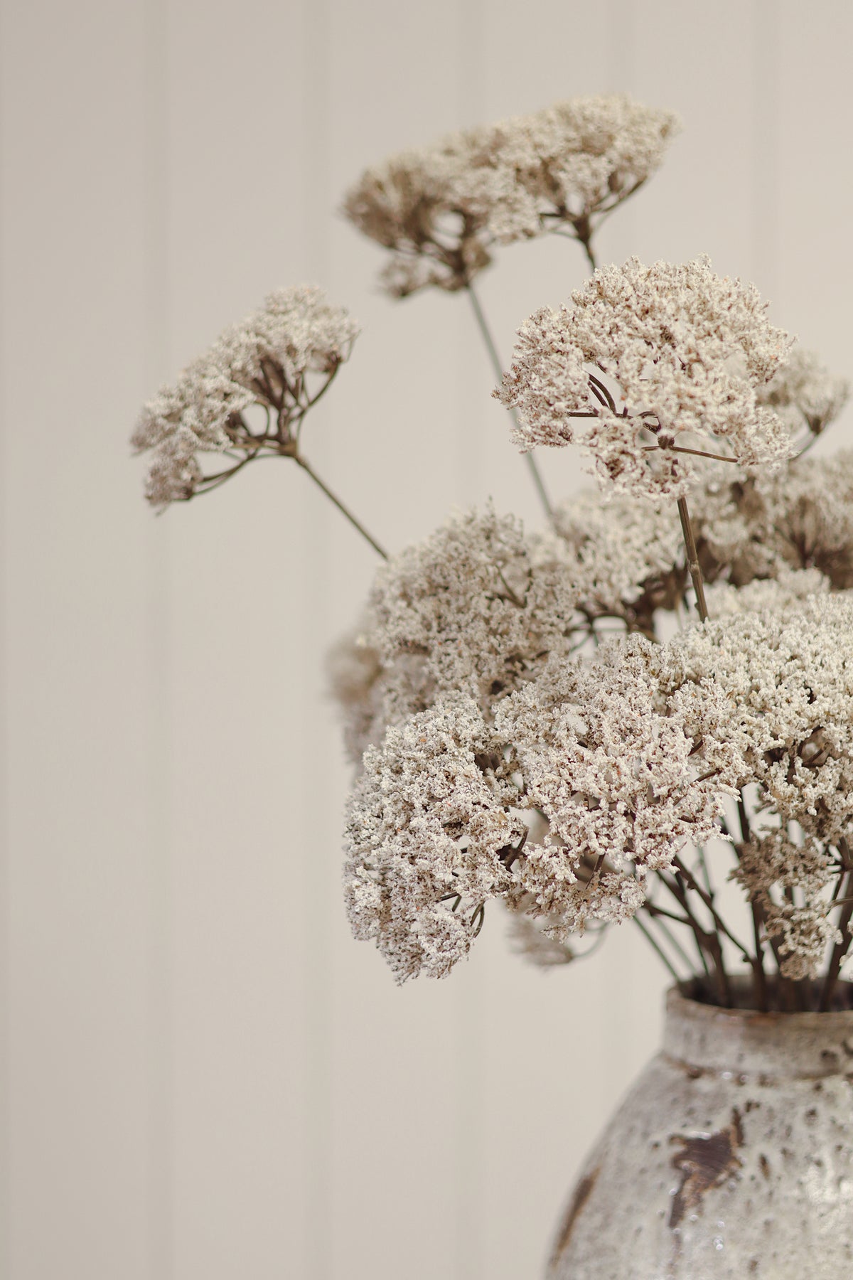 close up of artificial dried flower stems with round beige blooms arranged diagonally on a light wood grain background from maison garçonne boutique in montreal.