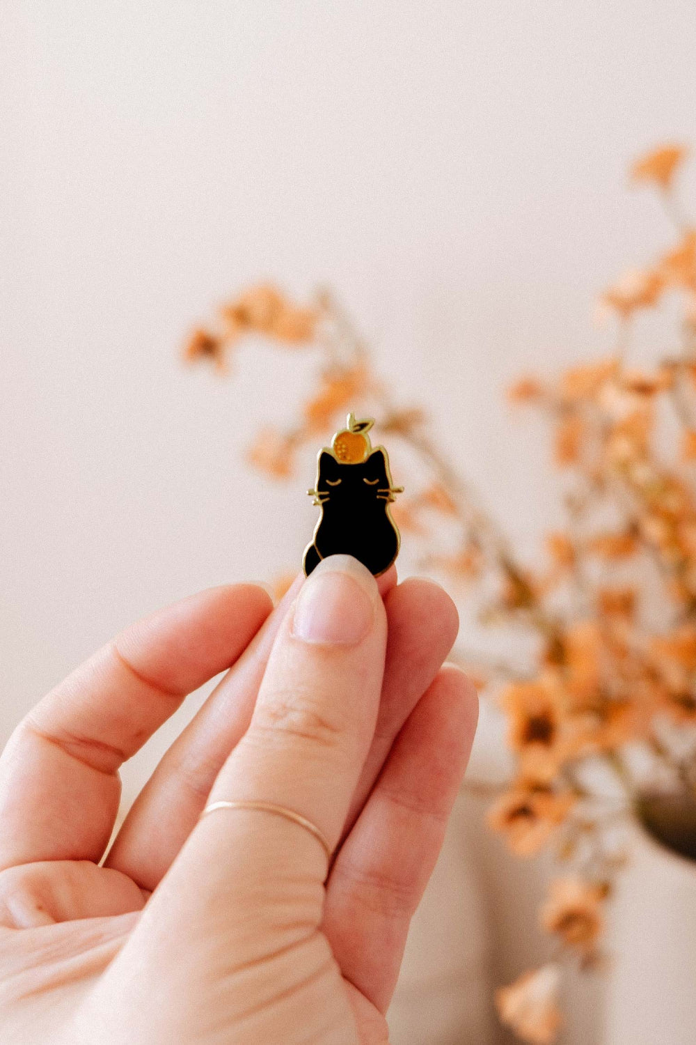 Chat Orange | Épingle