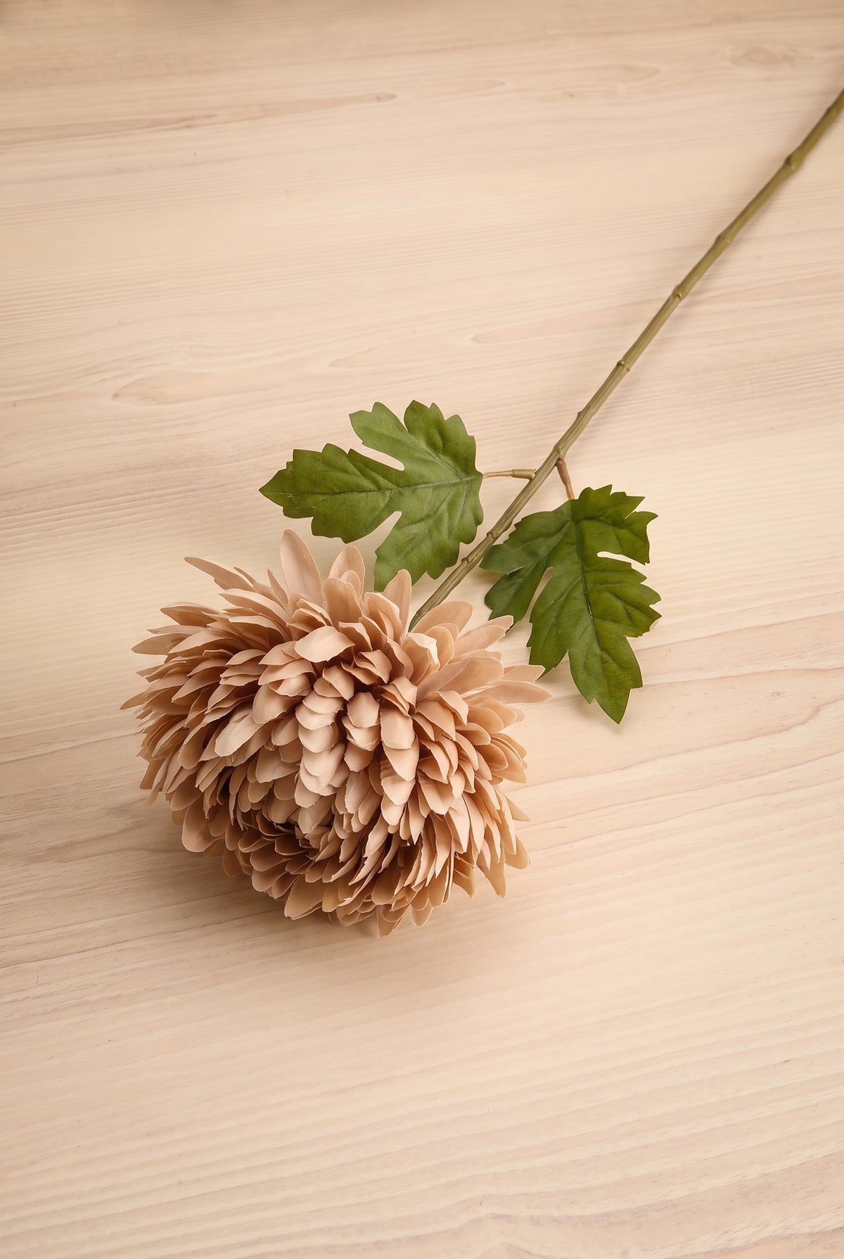 An artificial beige chrysanthemum flower stem with green leaves, placed diagonally on a light wood grain surface at boutique la maison garçonne in montreal.