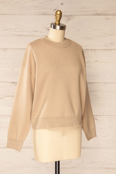 Calye Taupe Oversized Short Sweater | La petite garçonne side view