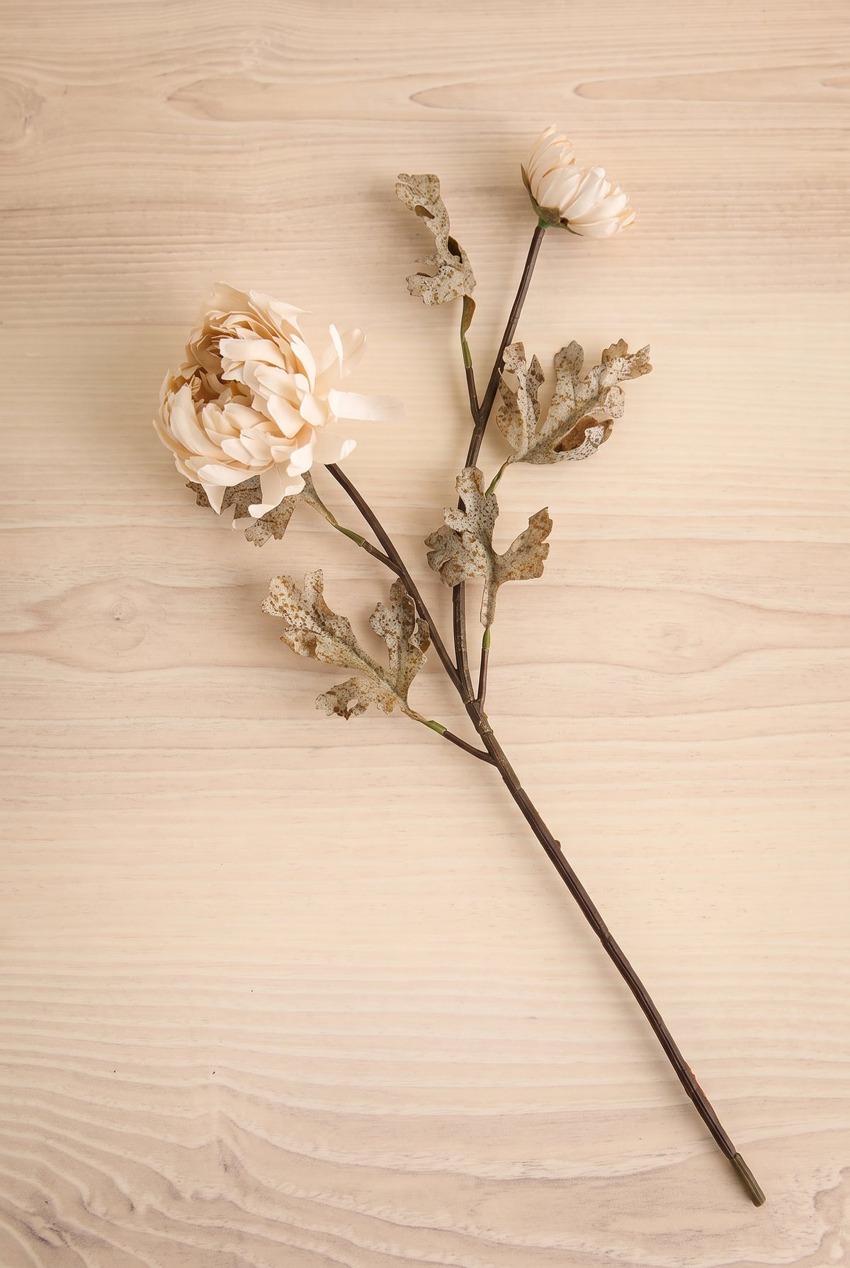 One dahlia spray artificial cream colour flower stems with beige blooms and brown leaves arranged diagonally on a light wood grain surface at la maison garçonne in montreal.