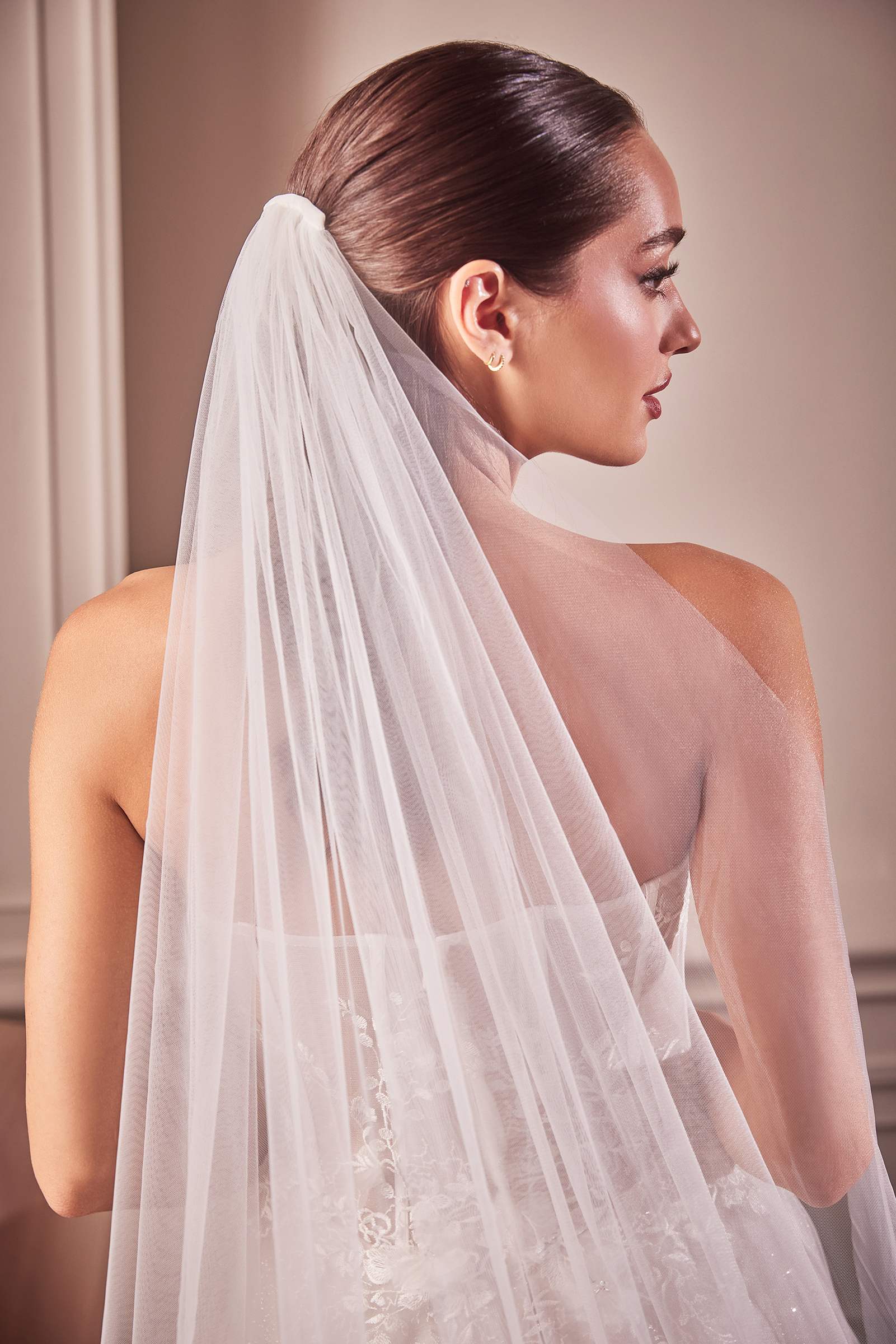 Veil on woman head Elioza | Tulle Wedding Veil with Scalloped Floral Lace