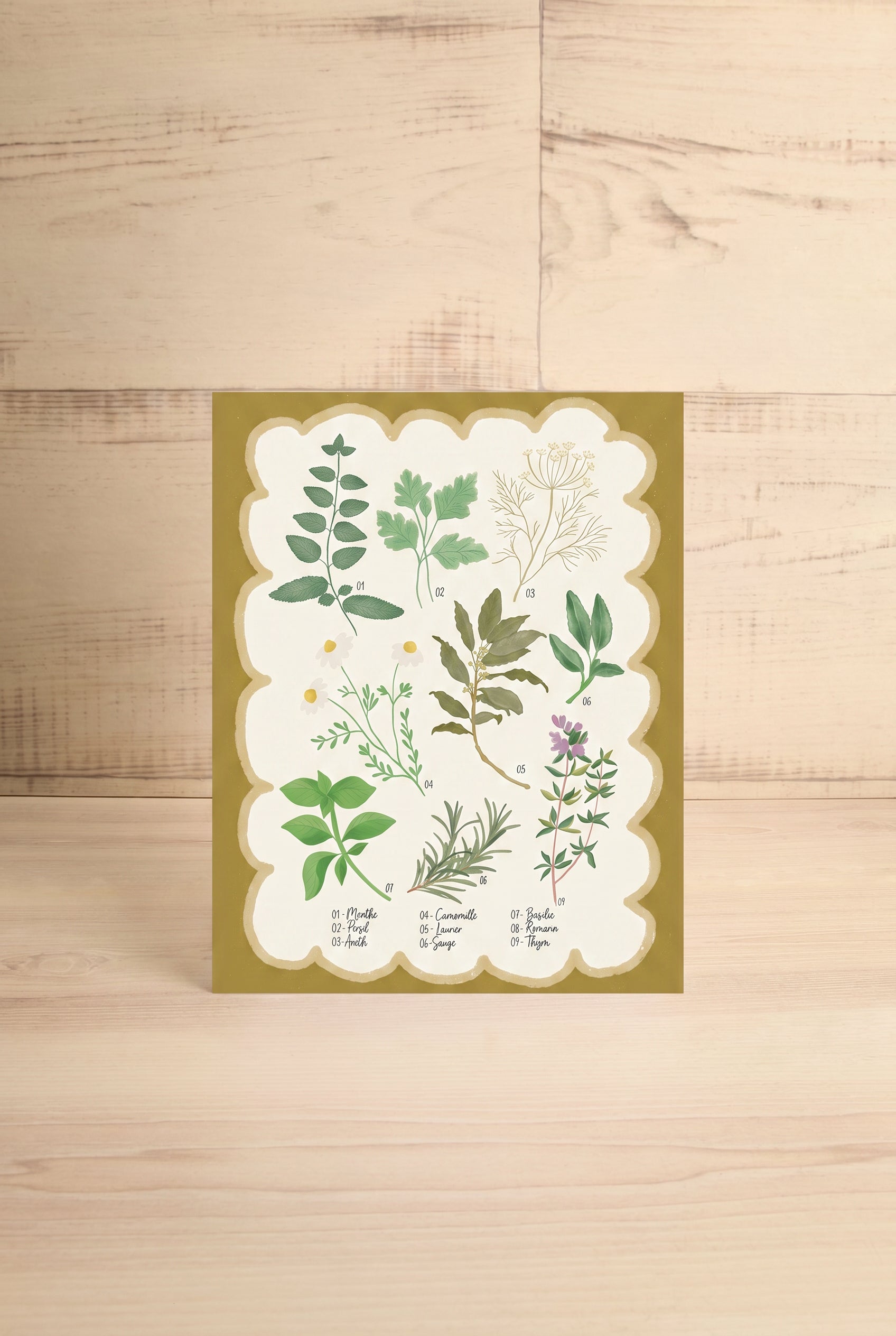 Herbarium Art Print from Lili Graffiti at la maison garçonne