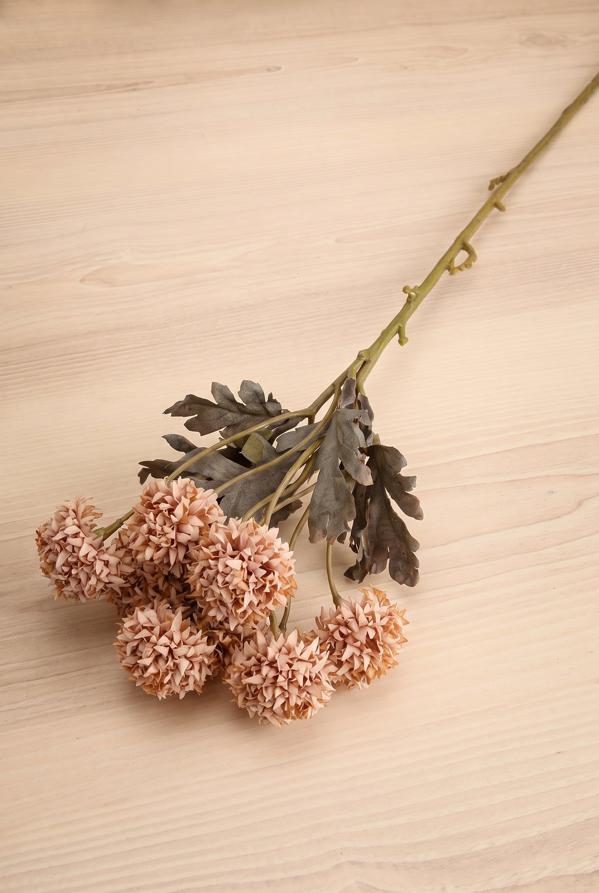 A bouquet of decorative artificial morandi flowers with dusty pink-brown round blooms, muted gray-green leaves, and long brown stems tied together with a beige band, placed on a light wood surface at la maison garçonne in montreal.