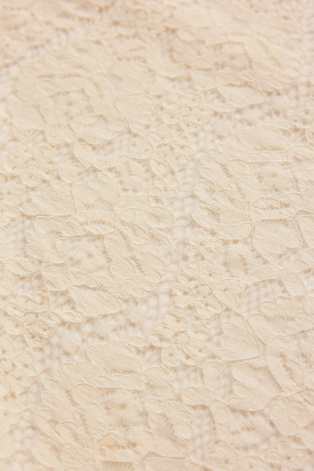 Moruya Ivory Lace Midi Skirt | Boudoir 1861 details