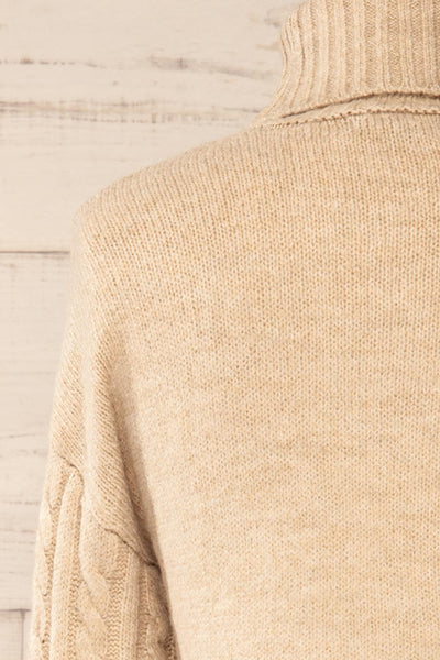 Pulborough Beige Cropped Turtleneck Sweater | La petite garçonne  back close-up
