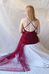 Kaia Burgundy Sequin Gown | Boutique 1861 back model