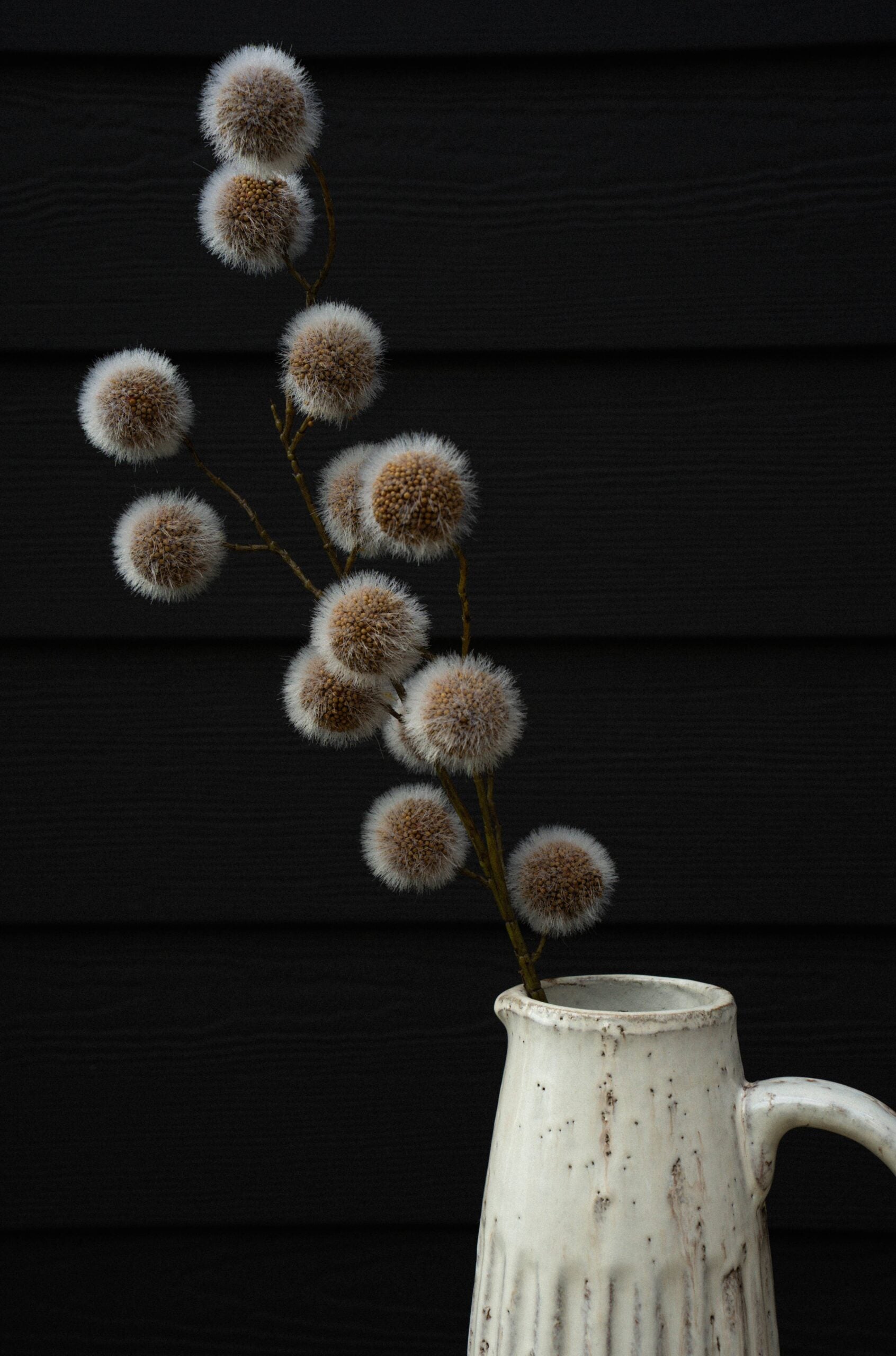 White ceramic pitcher with Fuzzy Pom Pom Spray flowers against a dark background