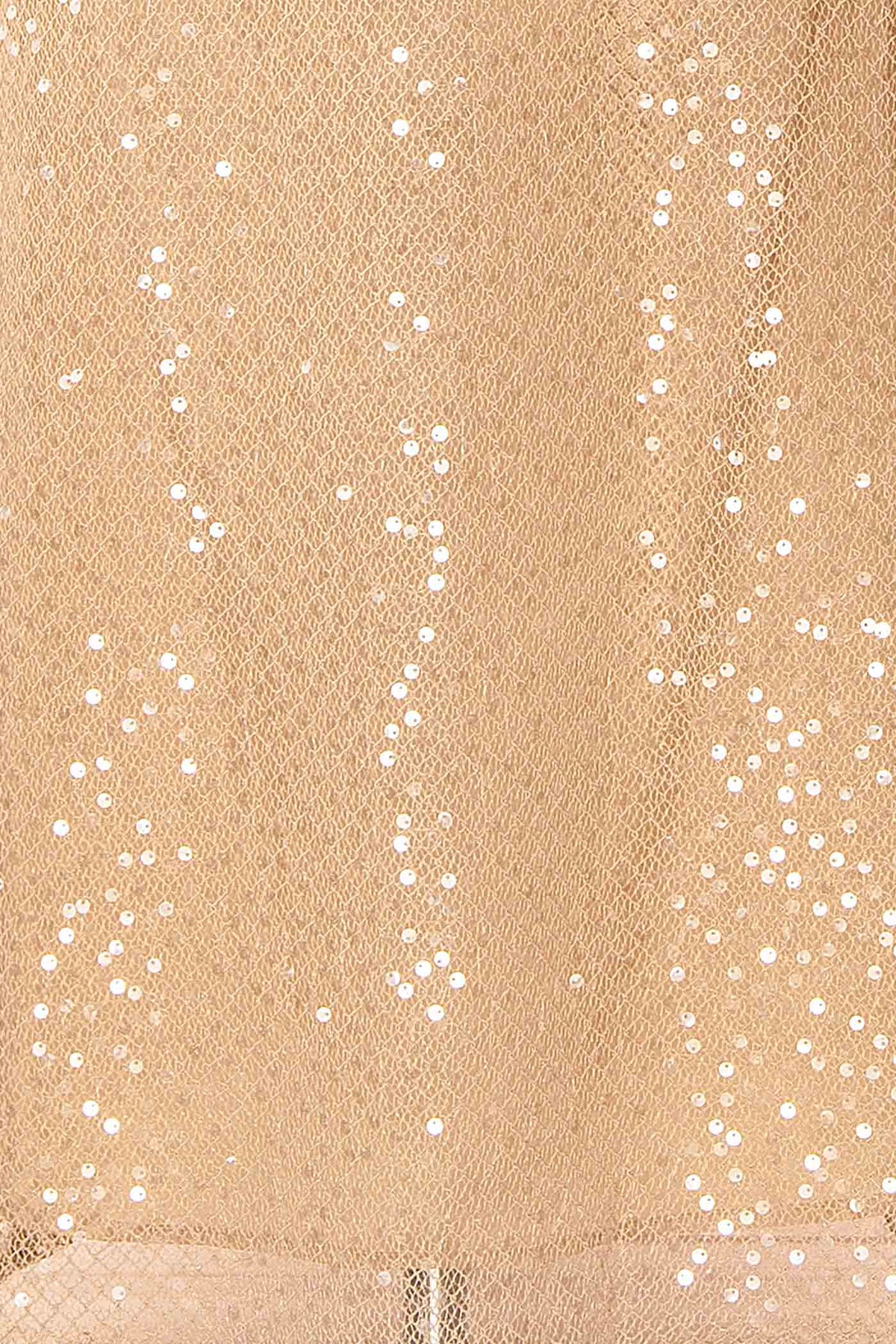 Alfea Champagne | Sequin Mesh Midi Dress with Cowl Neck
