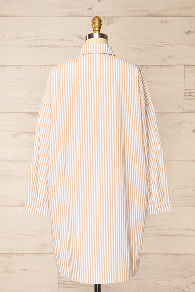Alistaire Oversized Striped Shirt Dress | La petite garçonne back view
