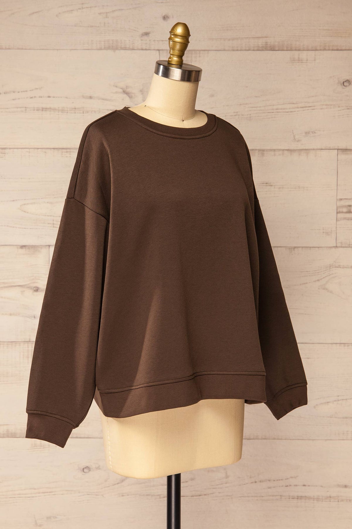 side view of Altenau Brown Oversized Sweatshirt at La petite garçonne