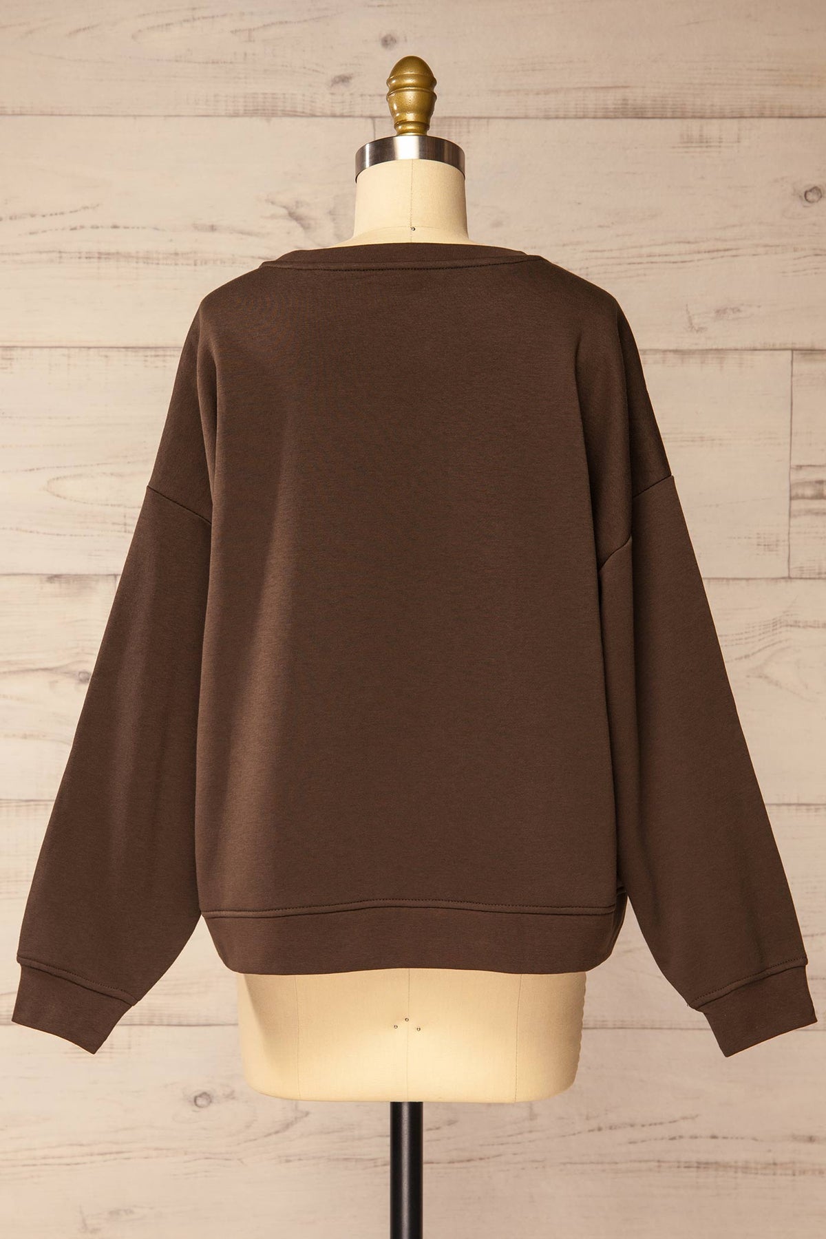 back view of Altenau Brown Oversized Sweatshirt at La petite garçonne