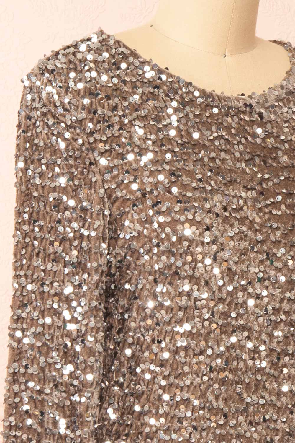 Amazina Grey Velvet Sequin Dress | Boutique 1861 side