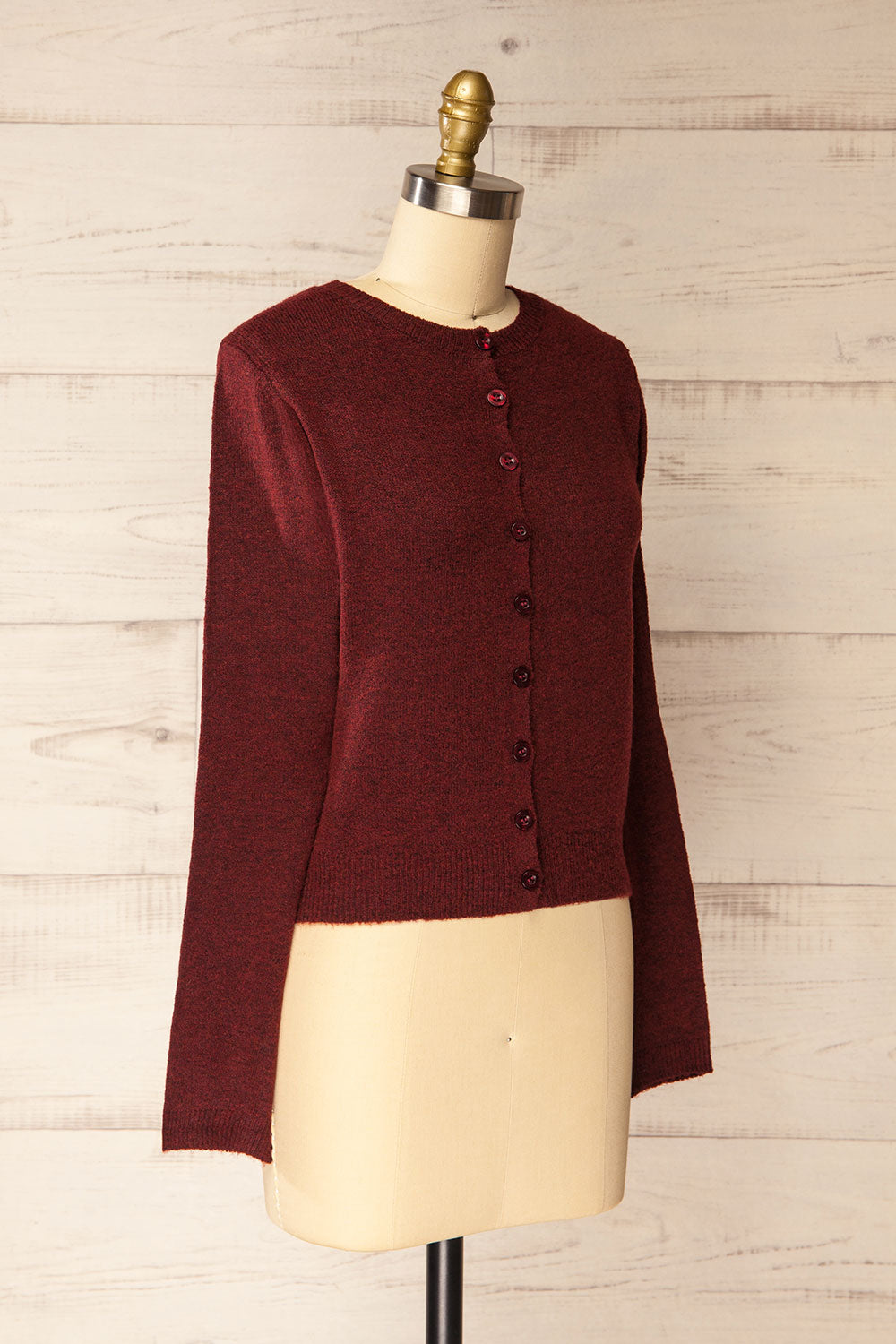 Andenes Burgundy Buttoned-Up Cardigan | La petite garçonne side view