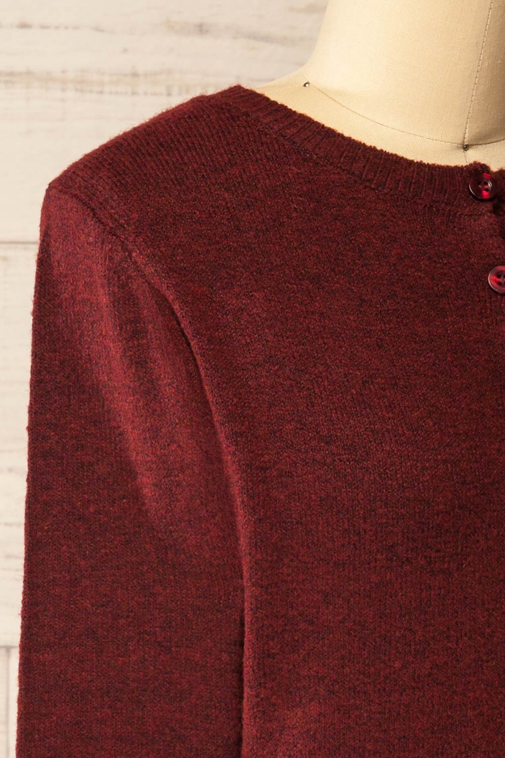 Andenes Burgundy Buttoned-Up Cardigan | La petite garçonne side