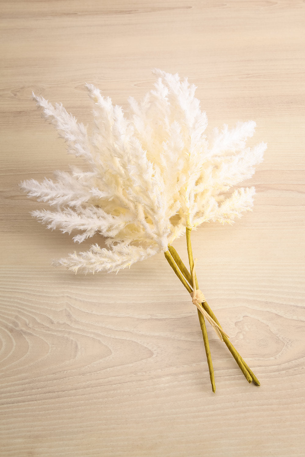 Animas White Artificial Pampas Flowers | Maison garçonne