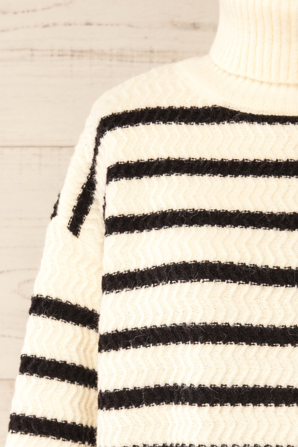 Arcot Striped Knit Turtleneck Sweater | La petite garçonne front
