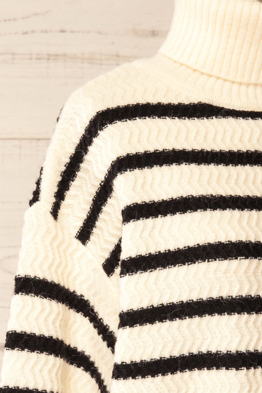 Arcot Striped Knit Turtleneck Sweater | La petite garçonne side