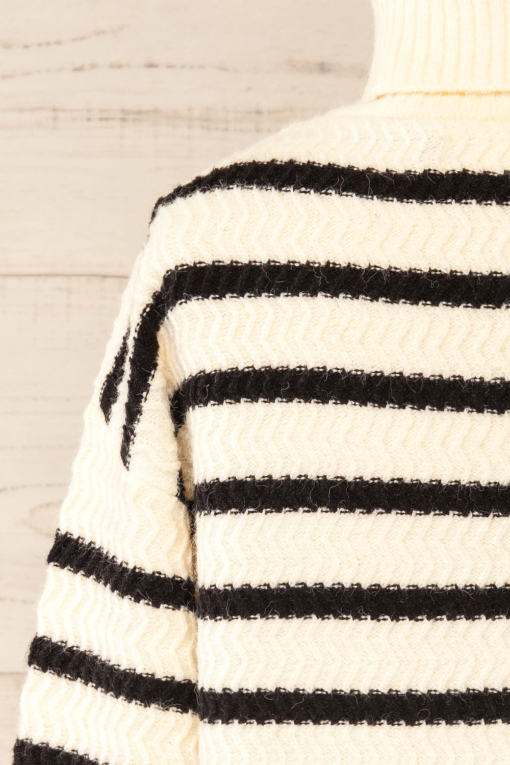Arcot Striped Knit Turtleneck Sweater | La petite garçonne back